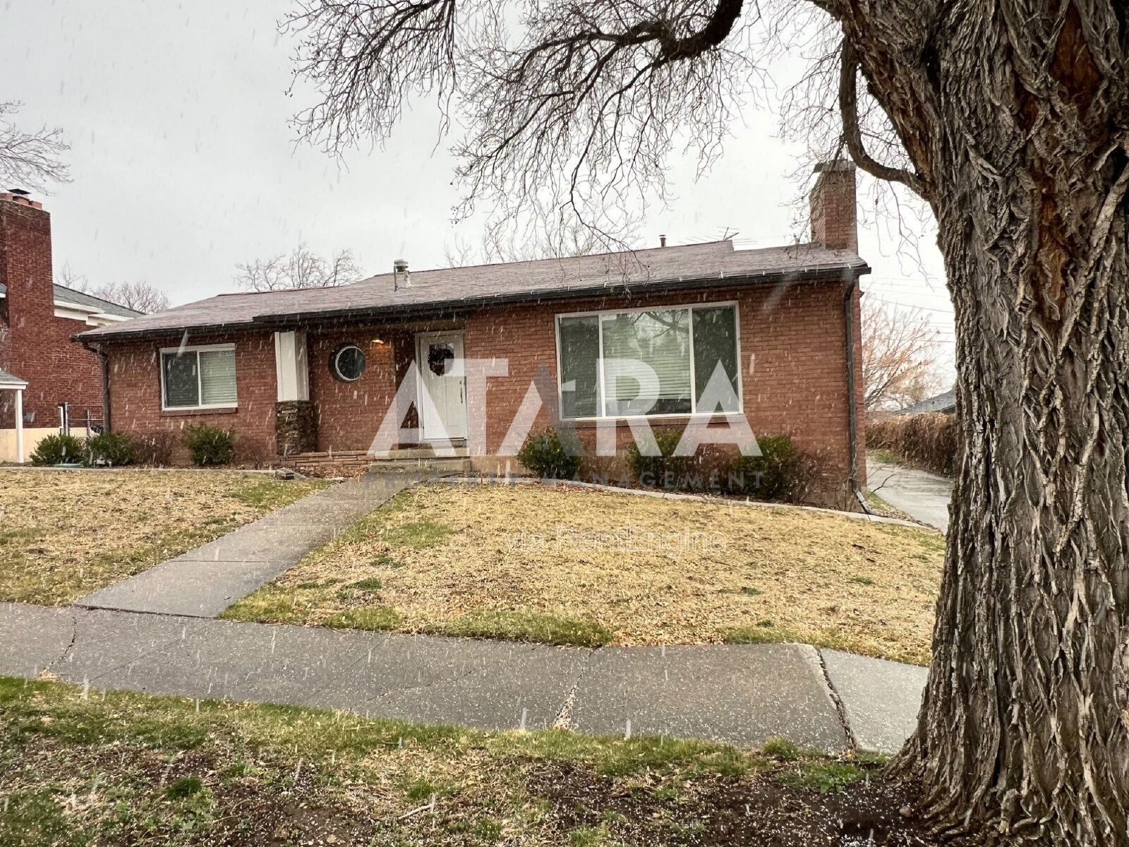 2 Bed / 1 Bath Basement Apartment in Salt Lake City property image