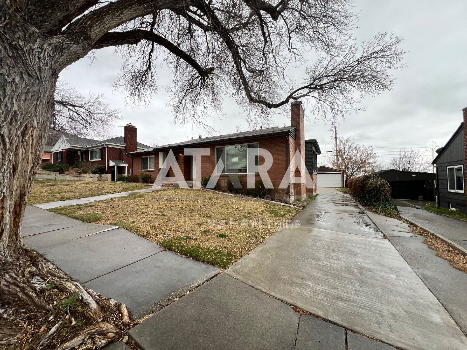 2 Bed / 1 Bath Basement Apartment in Salt Lake City property image