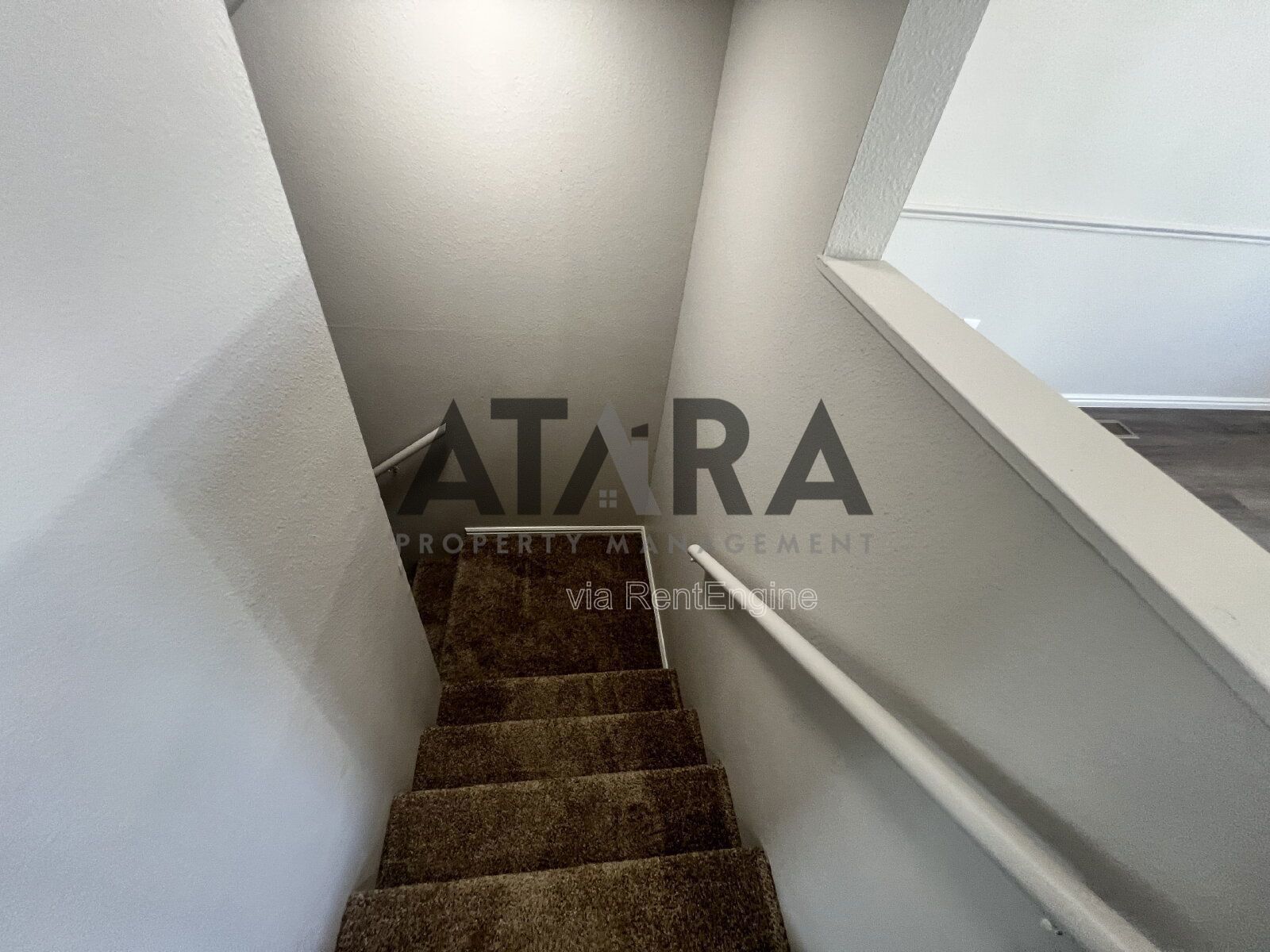 Comfort for You & Your Pet - 3 Bed NSL #13 property image