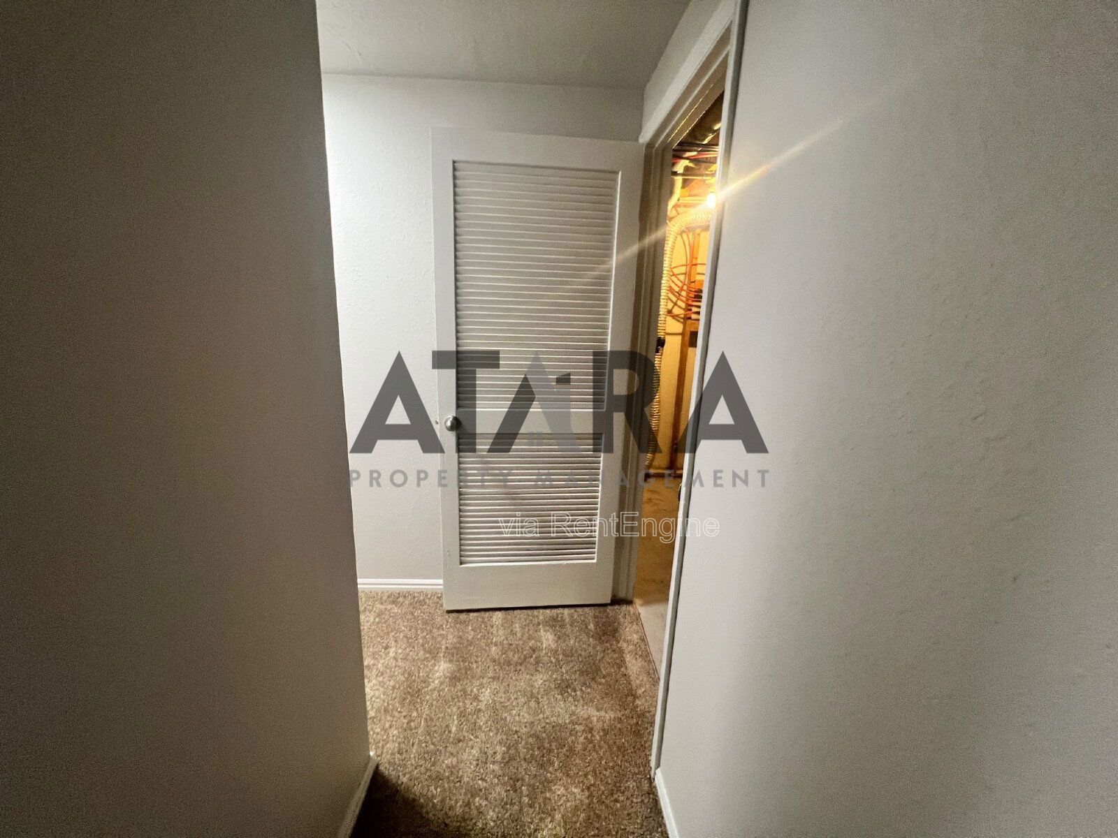 Comfort for You & Your Pet - 3 Bed NSL #13 property image