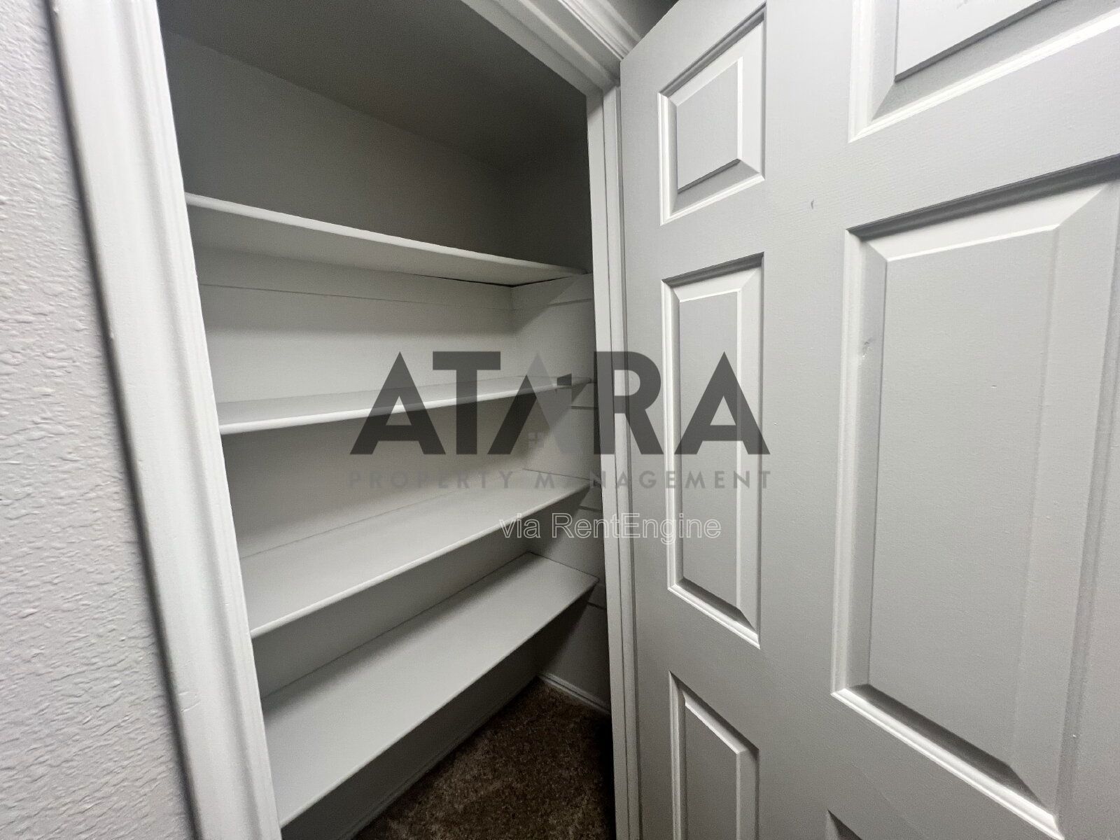 Comfort for You & Your Pet - 3 Bed NSL #13 property image