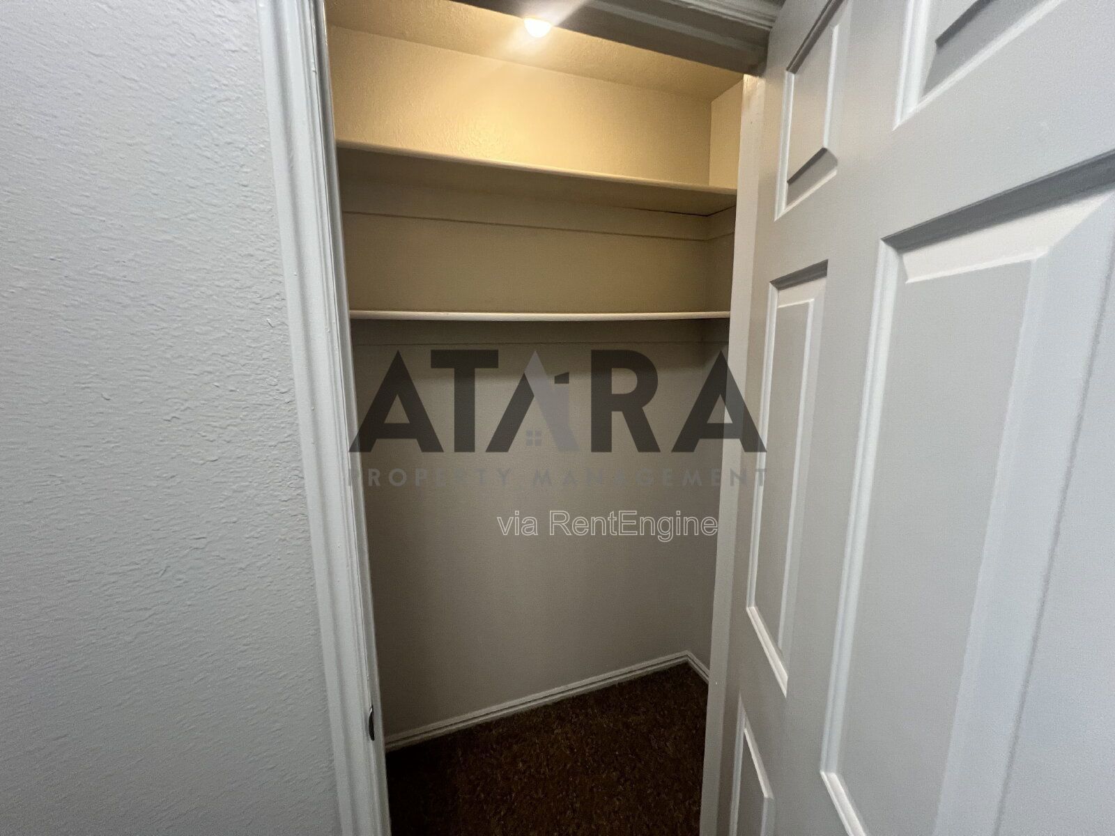 Comfort for You & Your Pet - 3 Bed NSL #13 property image