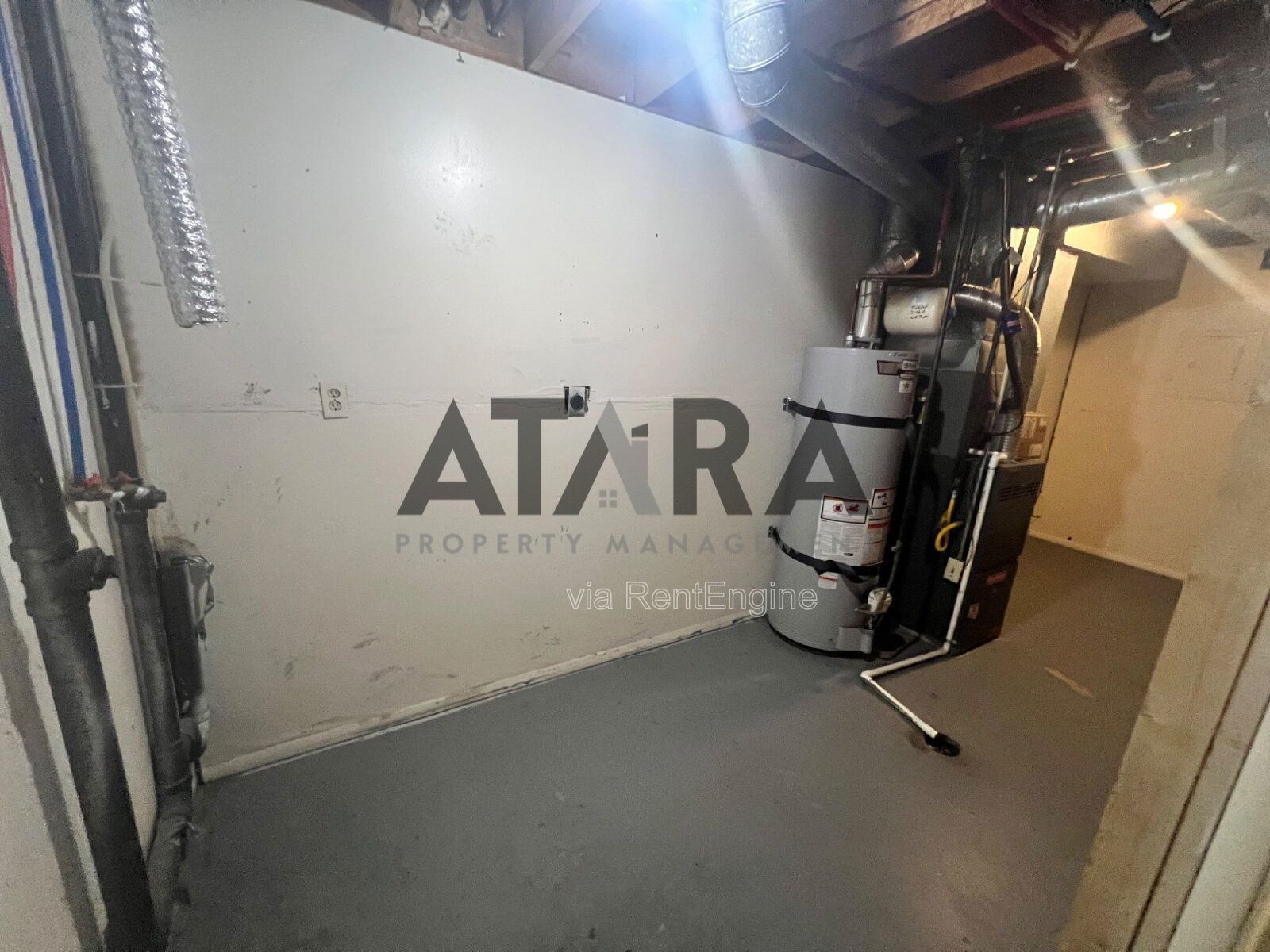 Comfort for You & Your Pet - 3 Bed NSL #4 property image