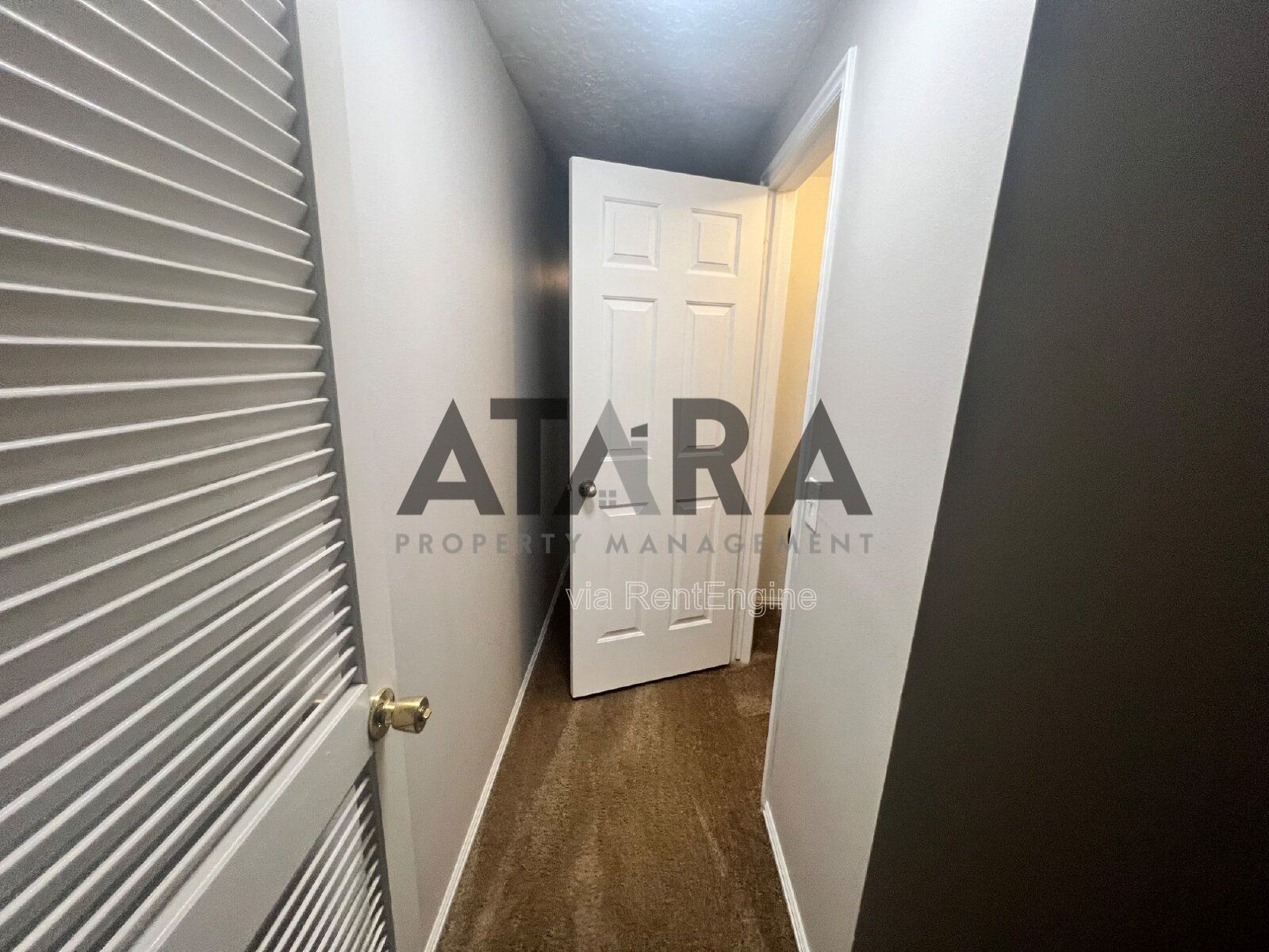 Comfort for You & Your Pet - 3 Bed NSL #4 property image