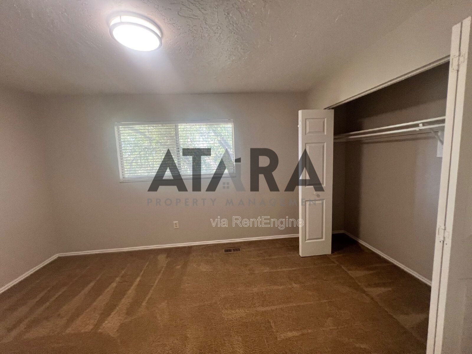 Comfort for You & Your Pet - 3 Bed NSL #4 property image