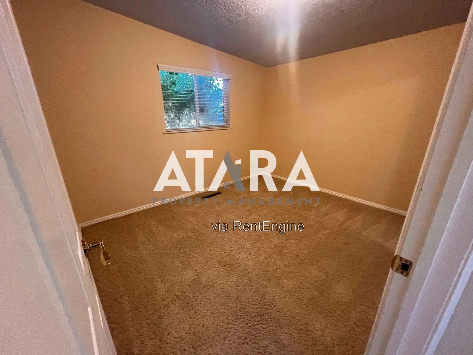 Spacious 5 Bed / 2 Bath Home in Murray  Plenty of Room to Live, Work & Entertain! property image