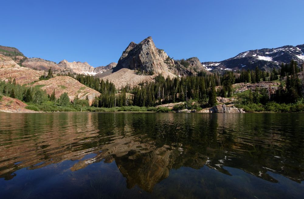 Kaysville Property Management